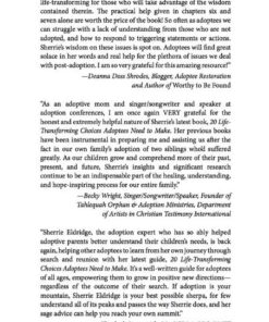 20 Life-Transforming Choices Adoptees Need to Make Se ebook