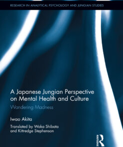 A Japanese Jungian Perspective on Mental Health and Culture: Wandering madness ebook