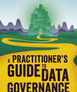 A Practitioner's Guide to Data Governance: A Case-Based Approach ebook