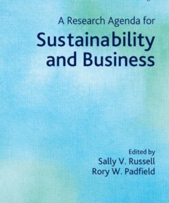 A Research Agenda for Sustainability and Business ebook
