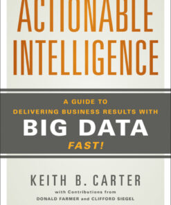 Actionable Intelligence: A Guide to Delivering Business Results with Big Data Fast! ebook