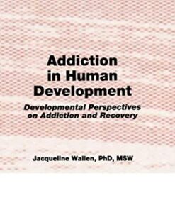 Addiction in Human Development: Developmental Perspectives on Addiction and Recovery ebook