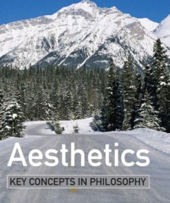 Aesthetics: Key Concepts in Philosophy ebook