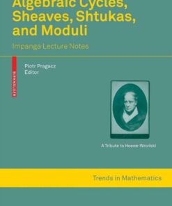 Algebraic Cycles Sheaves Shtukas and Moduli: Impanga Lecture Notes ebook