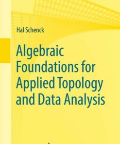 Algebraic Foundations for Applied Topology and Data Analysis ebook