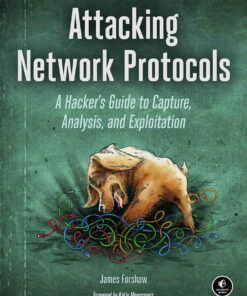 Attacking Network Protocols: A Hacker's Guide to Capture Analysis and Exploitation ebook