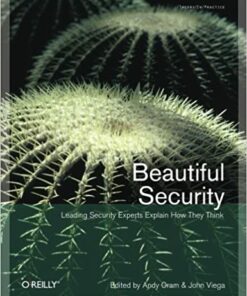 Beautiful Security: Leading Security Experts Explain How They Think ebook