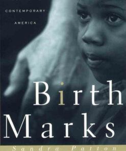 Birthmarks: Transracial Adoption in Contemporary America ebook
