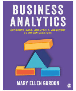Business Analytics: Combining data analysis and judgement to inform decisions ebook