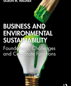 Business and Environmental Sustainability: Foundations Challenges and Corporate Functions ebook