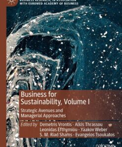 Business for Sustainability Volume I: Strategic Avenues and Managerial Approaches ebook