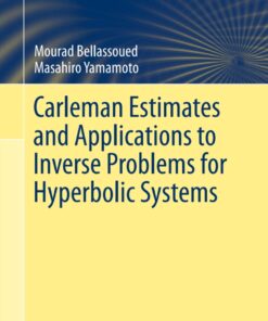 Carleman Estimates and Applications to Inverse Problems for Hyperbolic Systems ebook