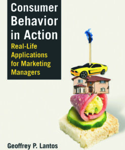 Consumer Behavior in Action: Real-life Applications for Marketing Managers ebook