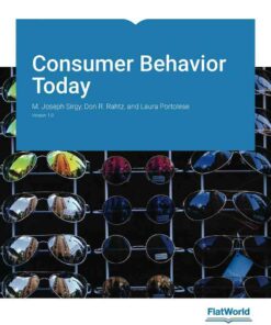 Consumer Behavior Today Version 1.0 ebook