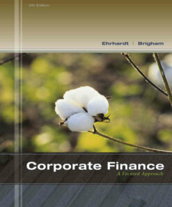 Corporate Finance: A Focused Approach 5th Edition ebook