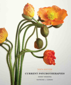 Current Psychotherapies 10th Edition ebook