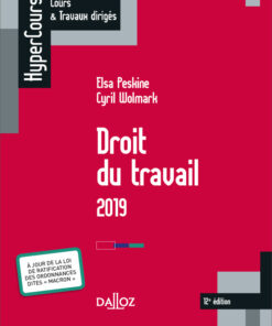 Droit du travail 2019 ebook