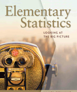 Elementary Statistics: Looking at the Big Picture 1st Edition ebook