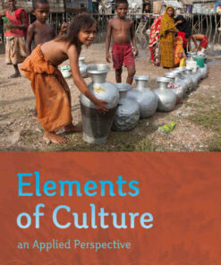Elements of Culture: An Applied Perspective 1st Edition ebook