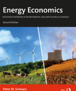 Energy Economics ebook
