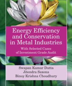Energy Efficiency and Conservation in Metal Industries: With Selected Cases of Investment Grade Audit ebook