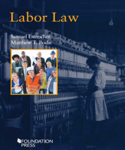 Estreicher and Bodie's Labor Law (Concepts and Insights Series) ebook