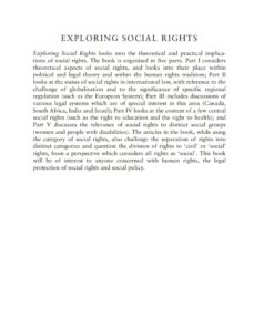 Exploring Social Rights: Between Theory and Practice ebook