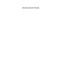 Figuration Work: Student Participation Democracy and University Reform in a Global Knowledge Economy ebook