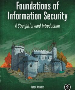 Foundations of Information Security: A Straightforward Introduction ebook