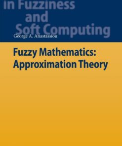 Fuzzy Mathematics: Approximation Theory ebook