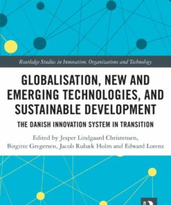 Globalisation New and Emerging Technologies and Sustainable Development: The Danish Innovation System in Transition ebook
