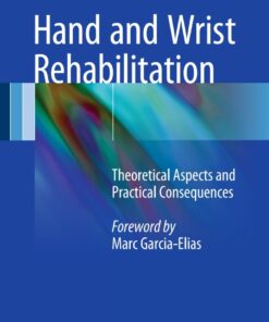 Hand and Wrist Rehabilitation: Theoretical Aspects and Practical Consequences ebook