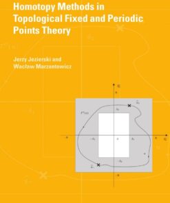 Homotopy Methods in Topological Fixed and Periodic Points Theory ebook