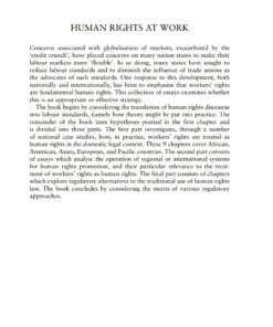 Human Rights at Work: Perspectives on Law and Regulation ebook