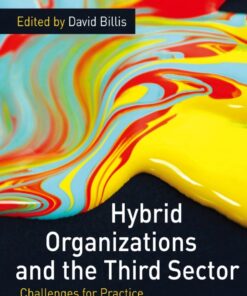 Hybrid Organizations and the Third Sector: Challenges for Practice Theory and Policy ebook