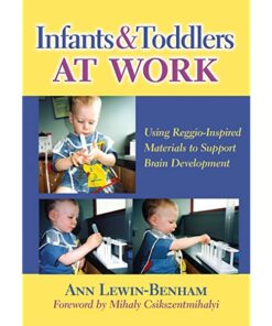 Infants and Toddlers at Work: Using Reggio-Inspired Materials to Support Brain Development ebook