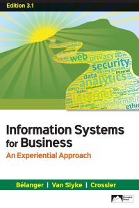 Information Systems for Business: An Experiential Approach Edition 3.1 ebook