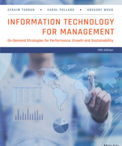 Information Technology for Management: On Demand Strategies for Performance Growth and Sustainability  ebook