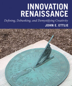 Innovation Renaissance: Defining Debunking and Demystifying Creativity ebook