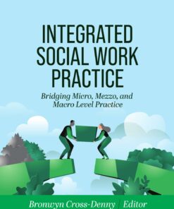 Integrated Social Work Practice: Bridging Micro, Mezzo, and Macro Level Practice ebook