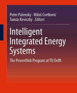 Intelligent Integrated Energy Systems: The PowerWeb Program at TU Delft ebook