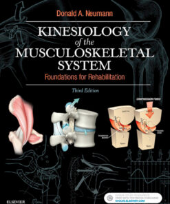 Kinesiology of the Musculoskeletal System: Foundations for Rehabilitation ebook
