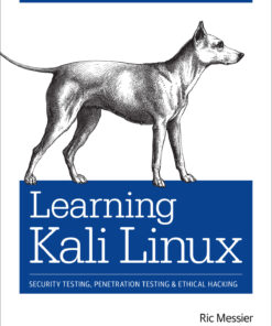 Learning Kali Linux ebook