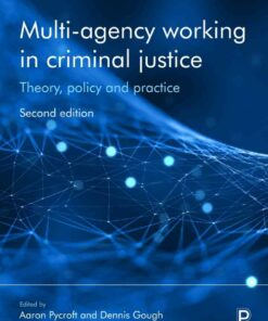 Multi-Agency Working in Criminal Justice: Theory Policy and Practice 2nd Edition ebook