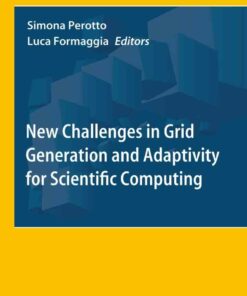 New Challenges in Grid Generation and Adaptivity for Scientific Computing ebook