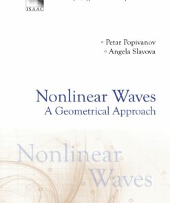 Nonlinear Waves: A Geometrical Approach ebook
