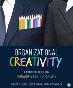 Organizational Creativity: A Practical Guide for Innovators & Entrepreneurs ebook