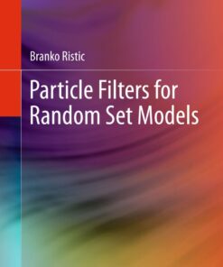 Particle Filters for Random Set Models ebook