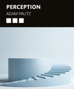 Perception ebook