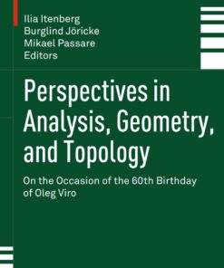 Perspectives in Analysis Geometry and Topology: On the Occasion of the 60th Birthday of Oleg Viro ebook